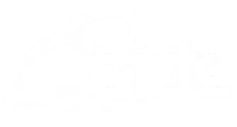 Obruta